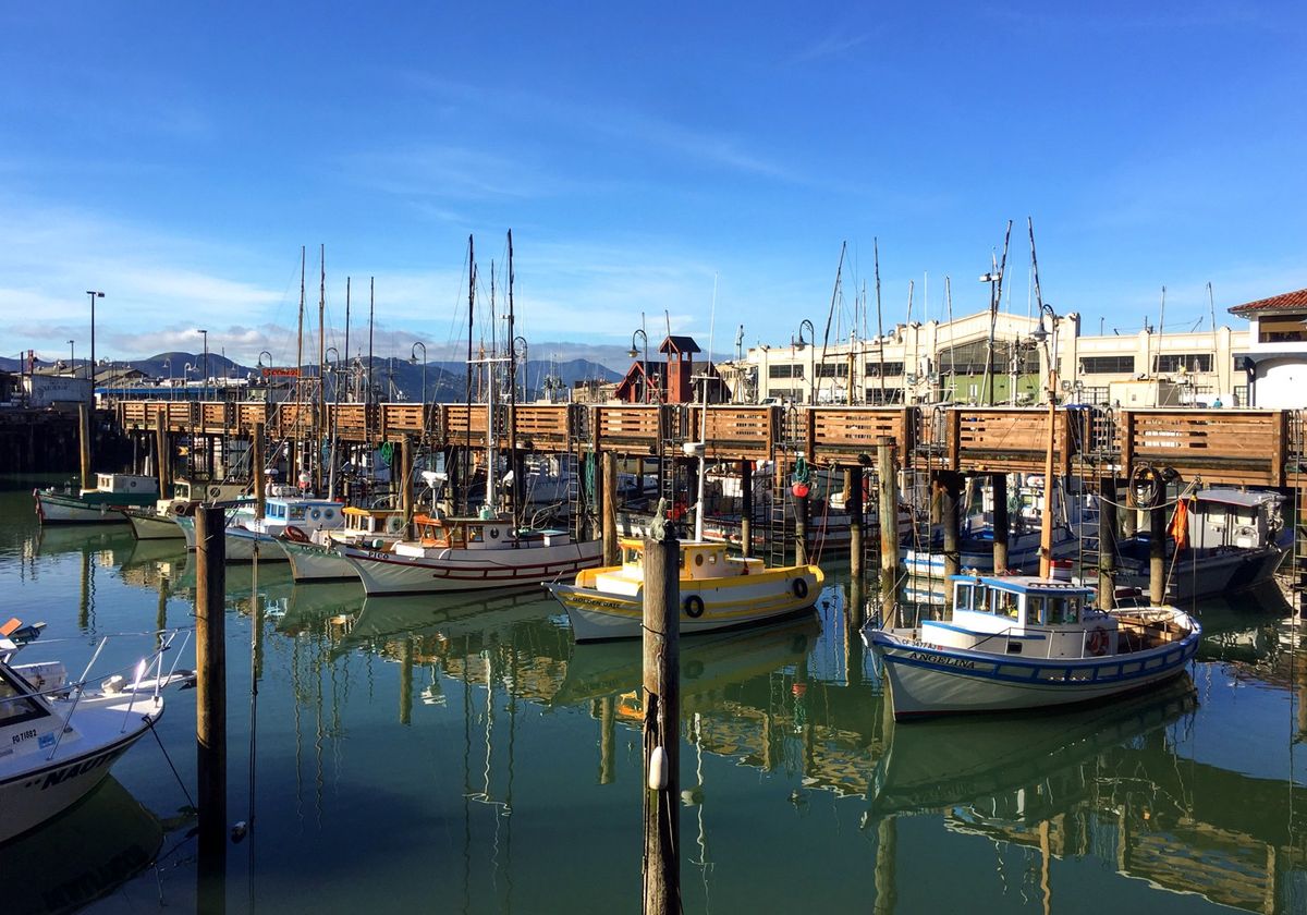 Walking Around Pier 39 & Fisherman's Wharf In San Francisco