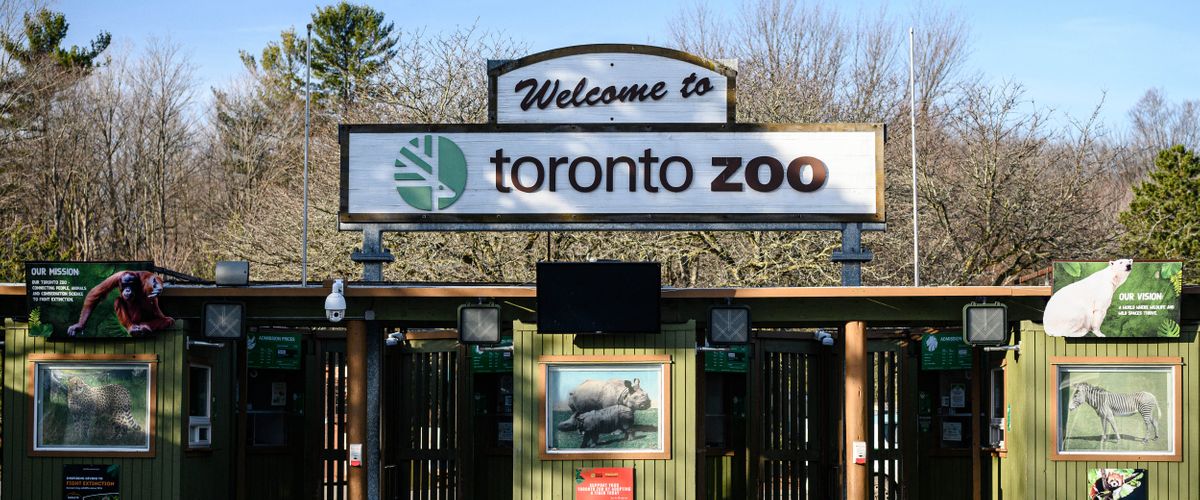 Toronto Zoo Photos