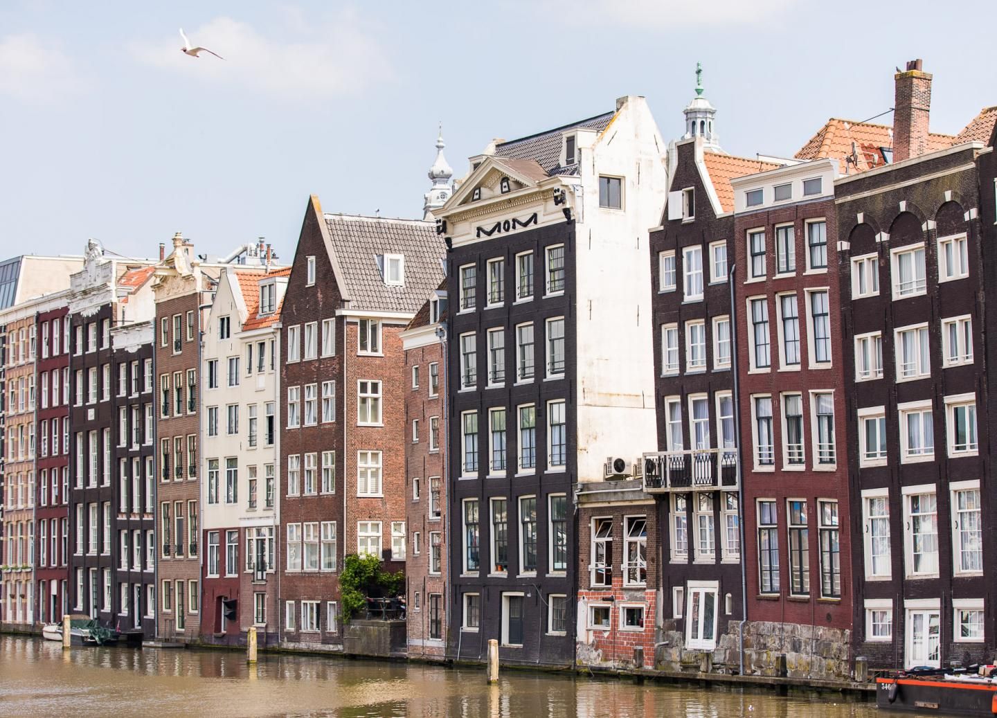 Populair Ga door Ijveraar Amsterdam City Tour With English Speaking Guide | Venture Ashore